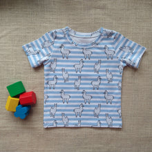 Load image into Gallery viewer, Logan Short Sleeve Top & Shorts Set