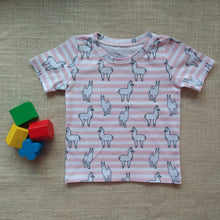 Load image into Gallery viewer, Kira Short Sleeve Top & Shorts Set